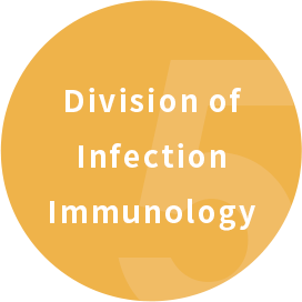 感染免疫学分野